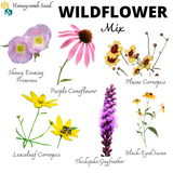 Wildflower Mix