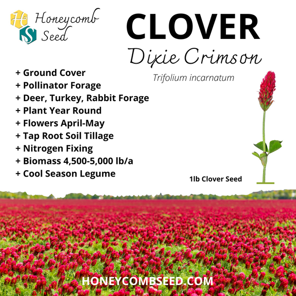 Clover Crimson