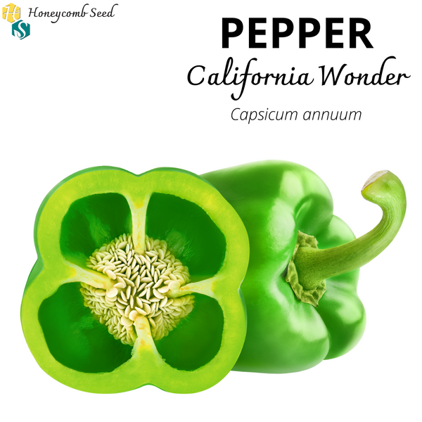 Pepper California Wonder