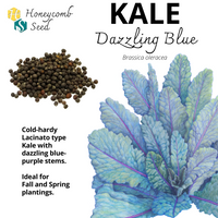Kale Dazzling Blue